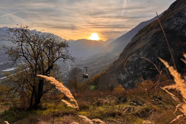 A la découverte des vignes dans le ciel
