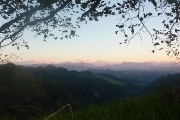Auf Entdeckungstour im Kambly-Land 2026