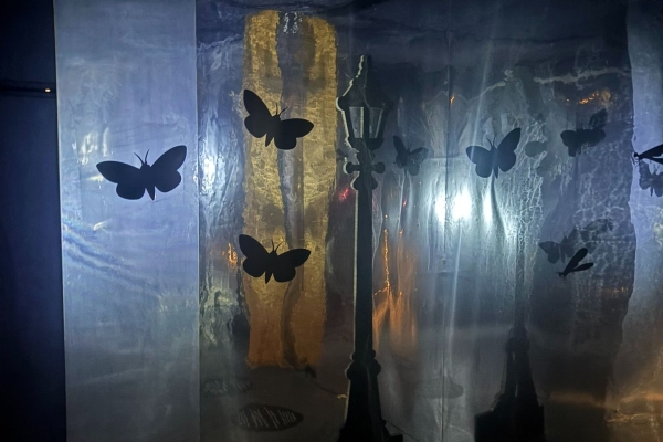 Tiere der Nacht - Erlebe mit uns die Schweizer Wandernacht