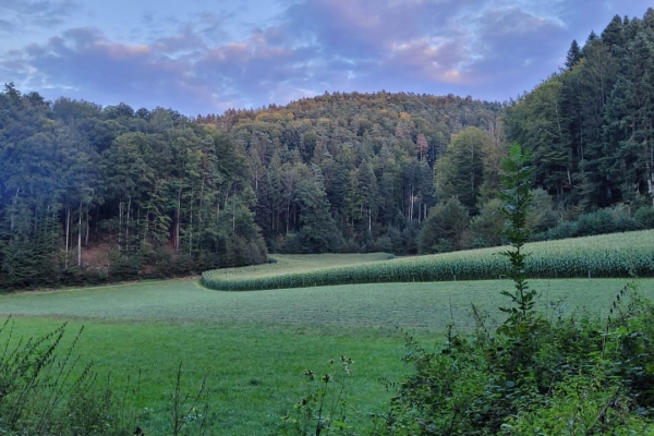 Geschichten rund um Bern