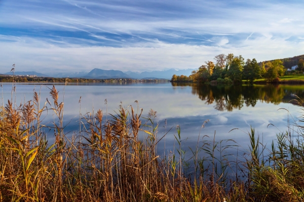Seetaler Naturwanderung am Baldeggersee mit Pro Natura Luzern