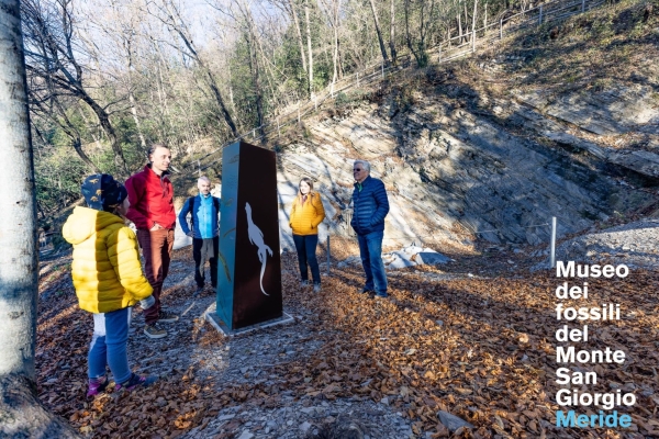 240 Millionen Jahre in einer Nacht – Wanderung Monte San Giorgio UNESCO