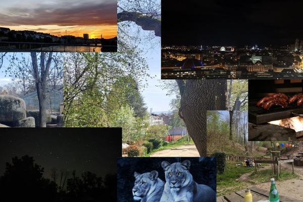 Stadt · Land · Fluss · Genuss – die Basler Stadtsafari – Night Edition